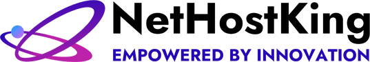 NetHostKing-Web-Hosting-Company-Logo